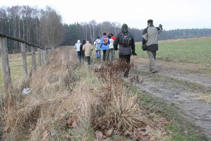 040.JPG