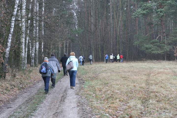 042.JPG