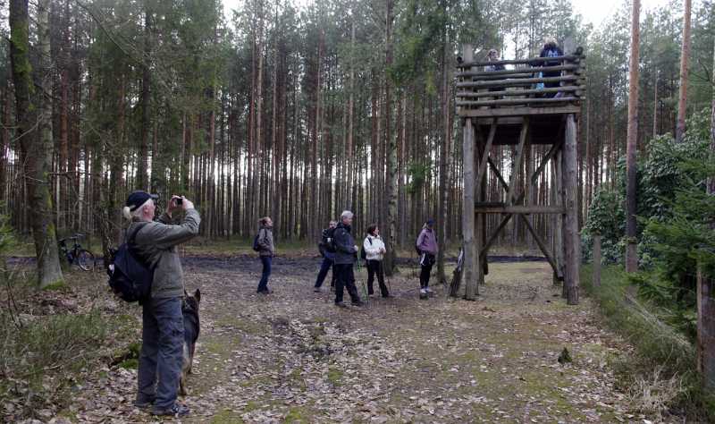 79.jpg