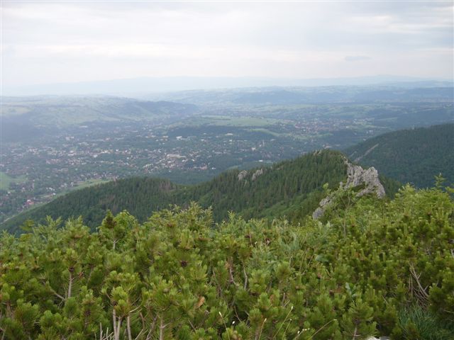 40.jpg