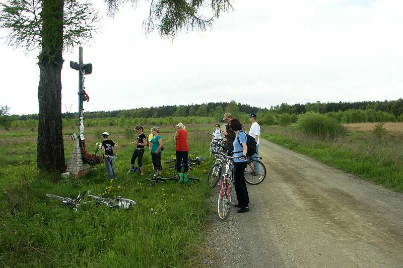 06.jpg
