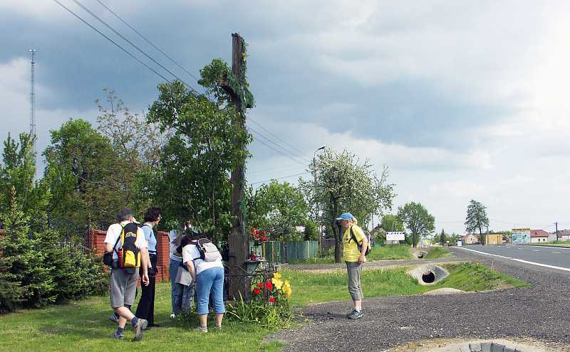 17a.jpg