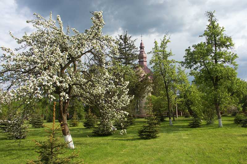 26b.jpg