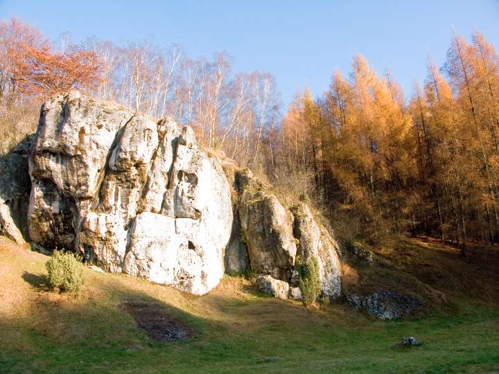 63.jpg
