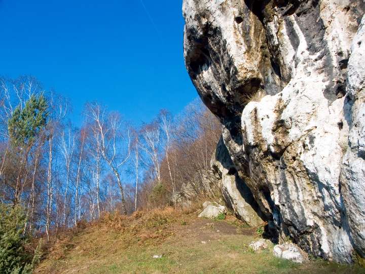 66.jpg