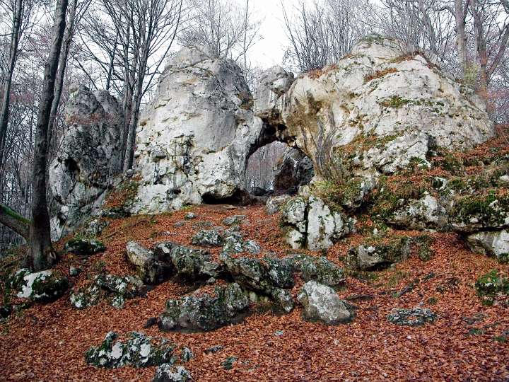 85.jpg