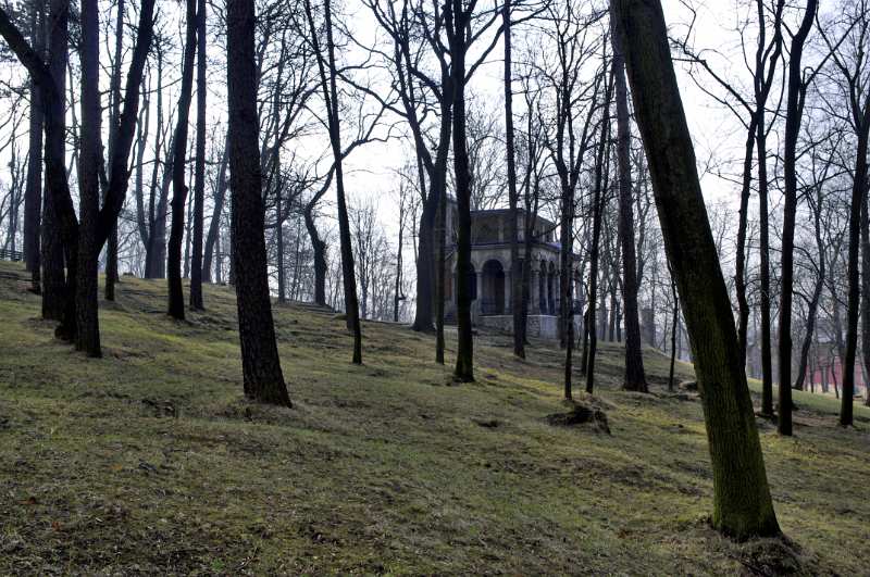 04.jpg
