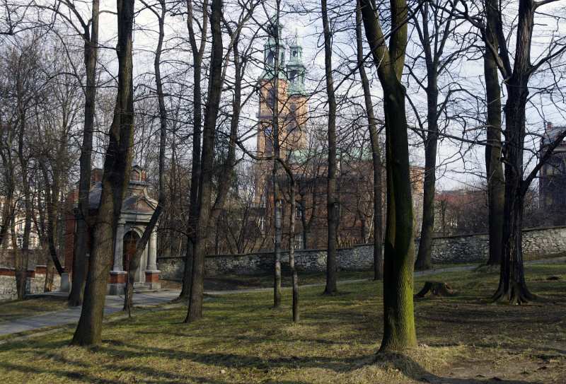 05.jpg