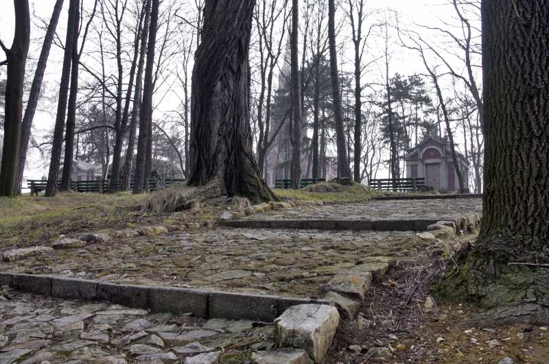 06.jpg
