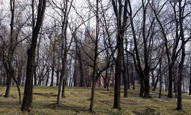 10.JPG