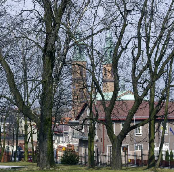 61.JPG