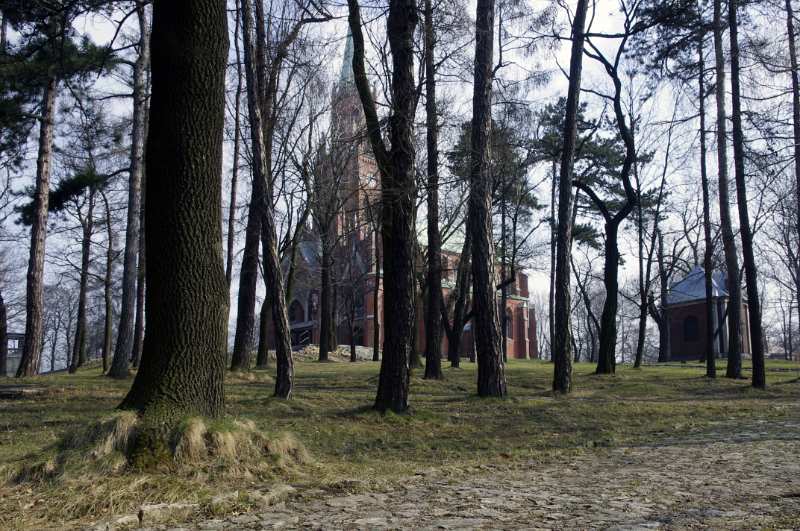73.JPG