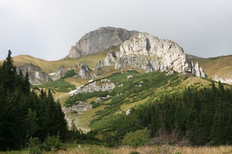 109.JPG