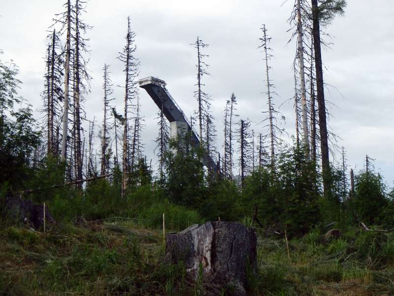 070.JPG