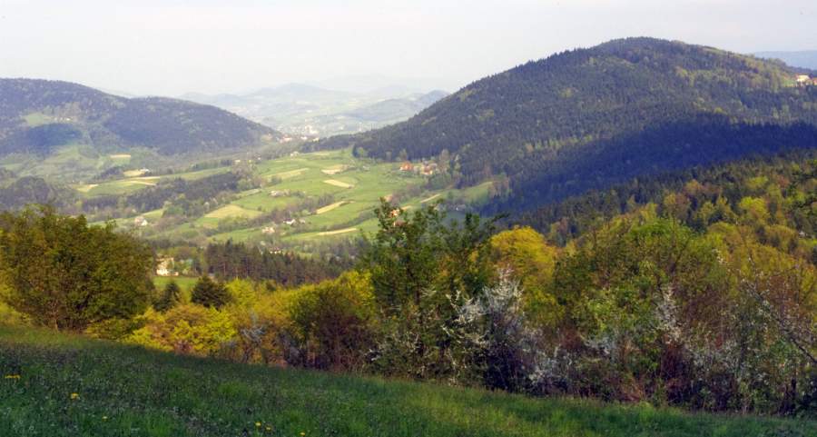 127.jpg