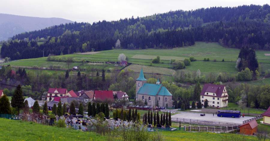 141.jpg