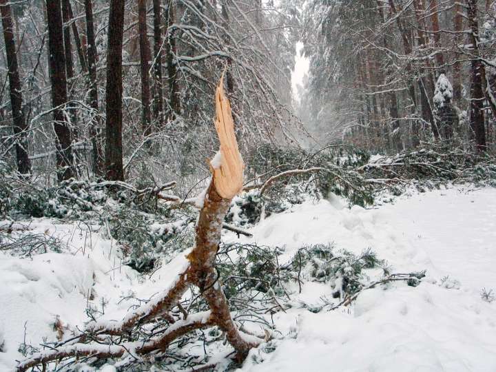 07.jpg