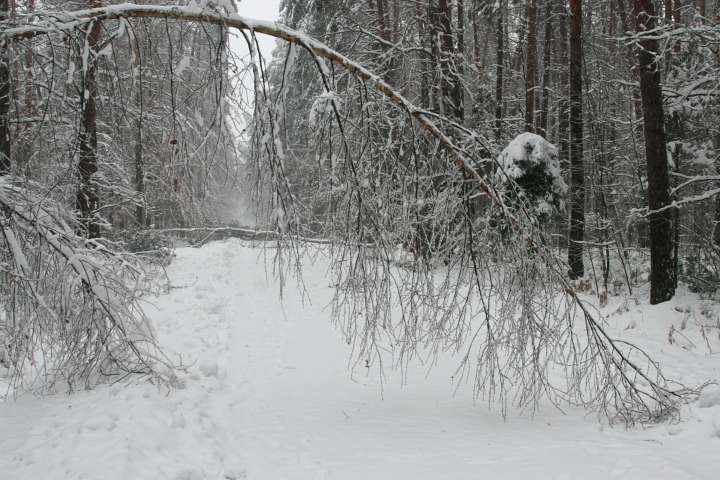 09.JPG