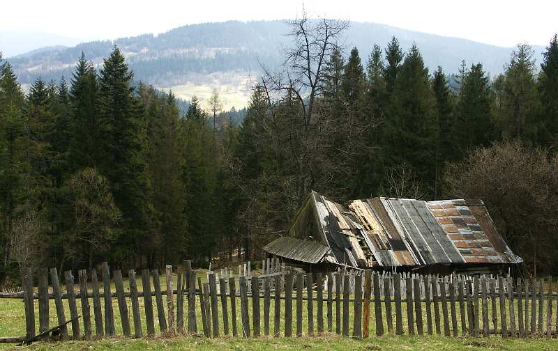 010.jpg
