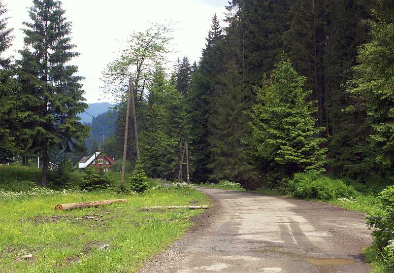 04.jpg
