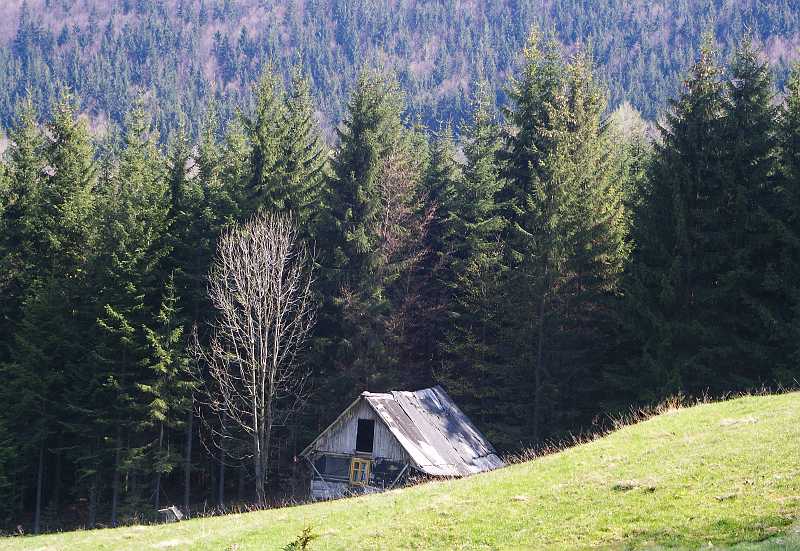 060.jpg
