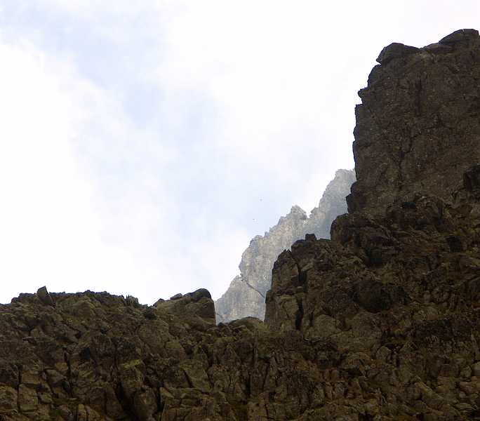 110.jpg