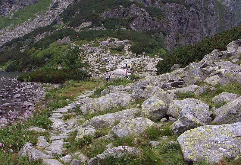 119.jpg