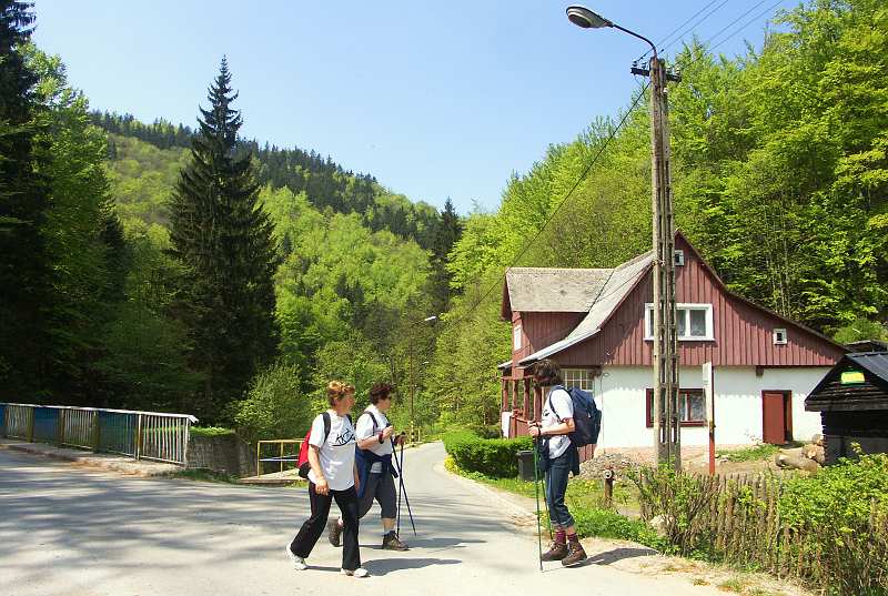 010.jpg