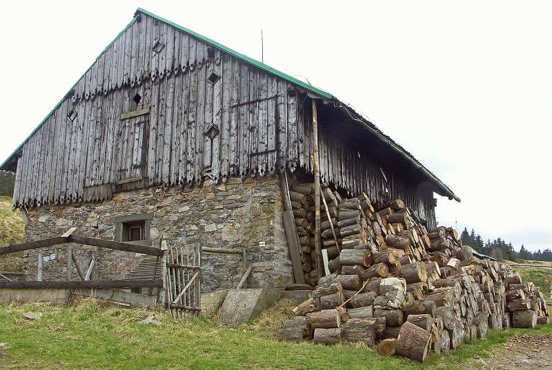 041.jpg