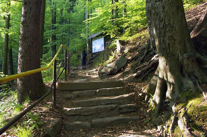 118.jpg
