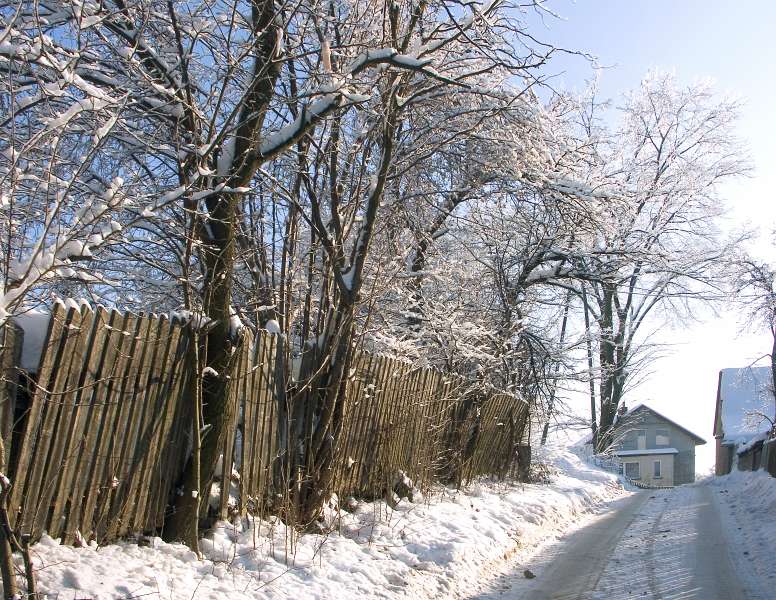 PICT3003.jpg