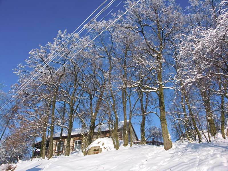 PICT3006.jpg