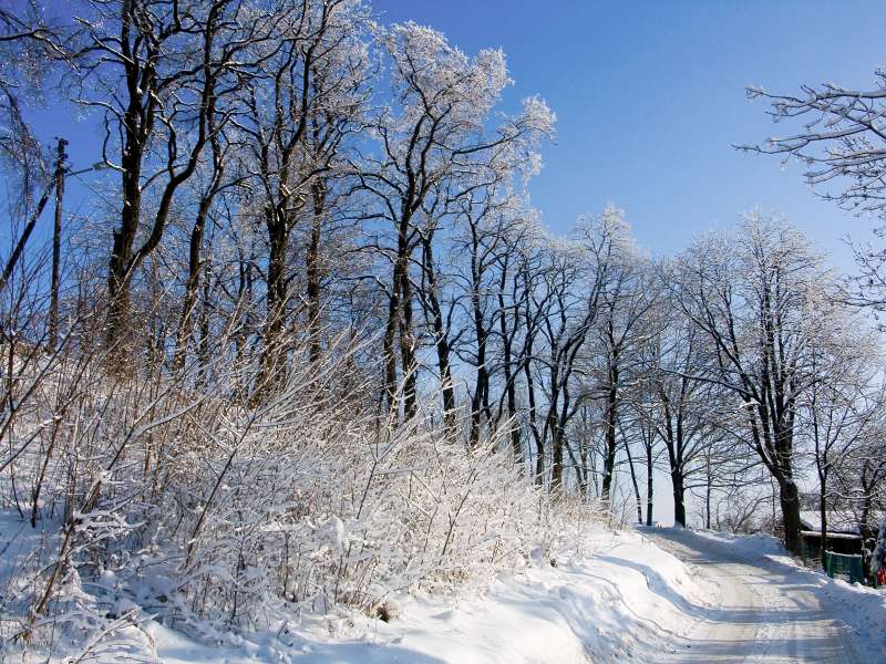 PICT3015.jpg