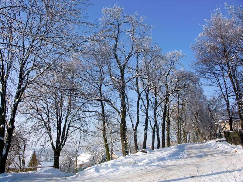 PICT3020.jpg