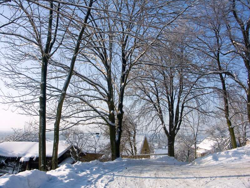 PICT3021.jpg