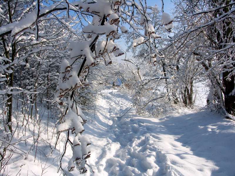 PICT3026.jpg