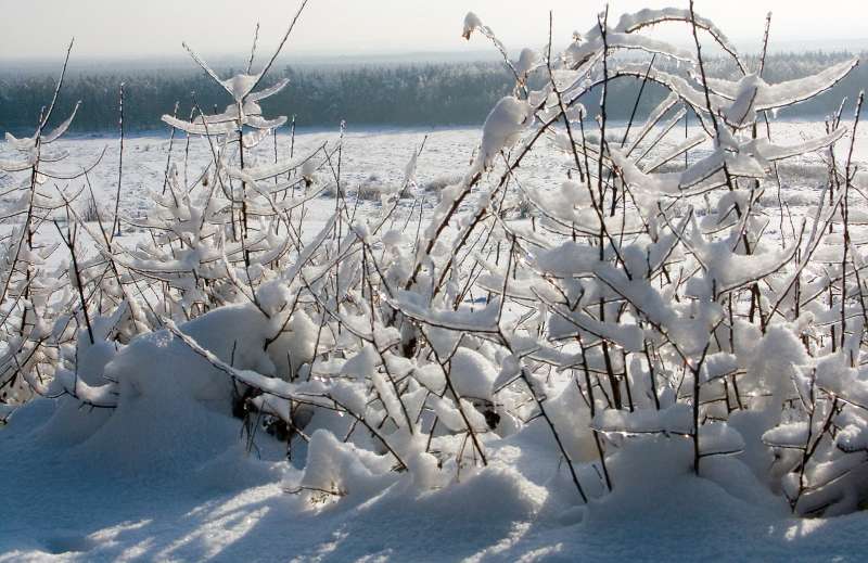PICT3030.jpg