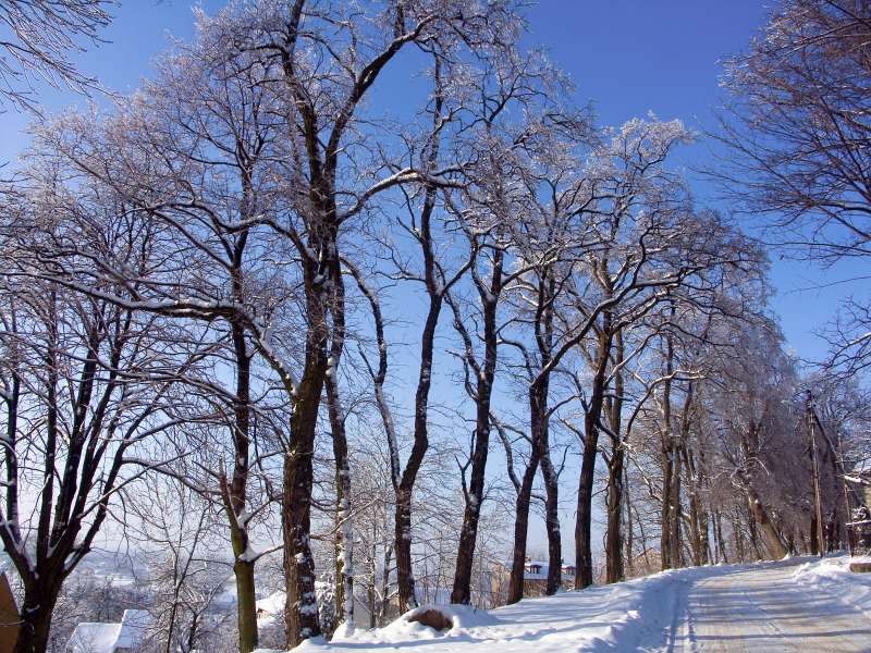 PICT3043.jpg