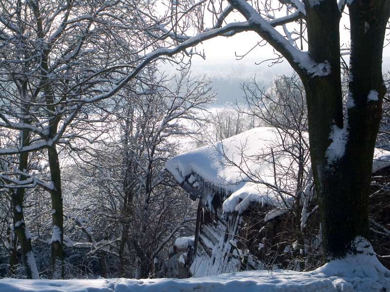PICT3044.jpg