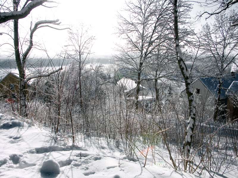 PICT3047.jpg