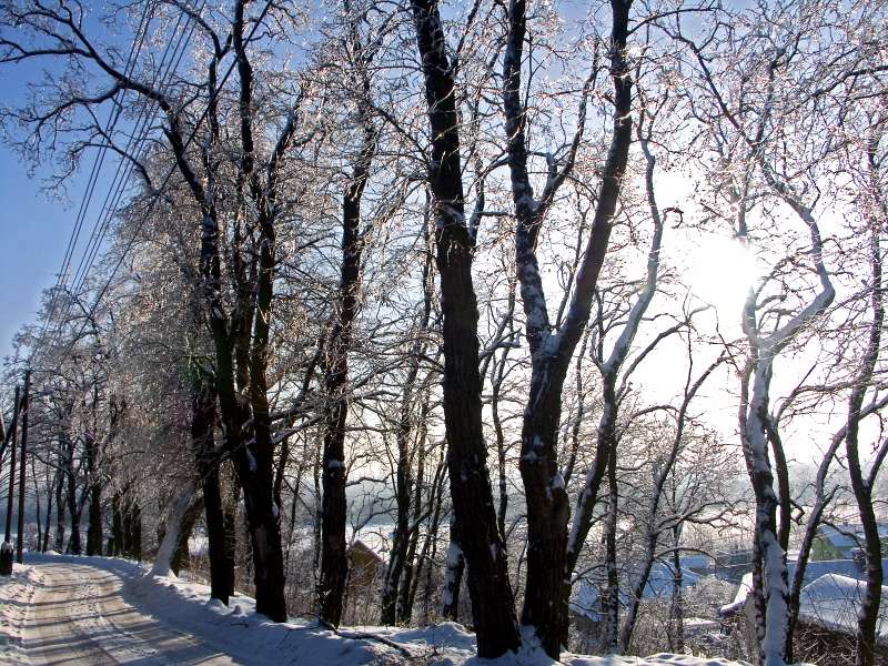 PICT3051.jpg