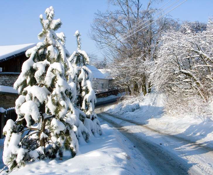 PICT3059.jpg
