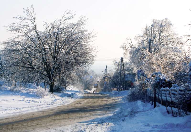 PICT3065.jpg