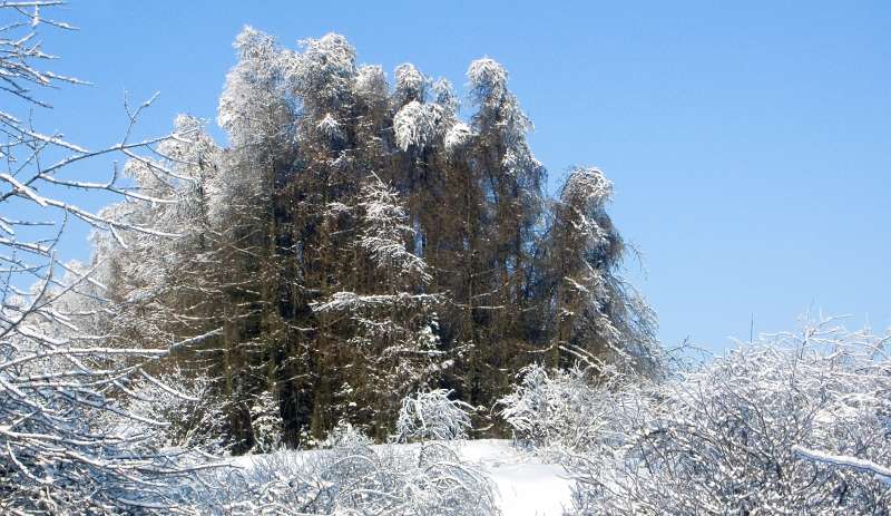 PICT3073.jpg