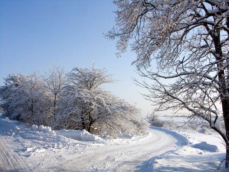 PICT3082.jpg