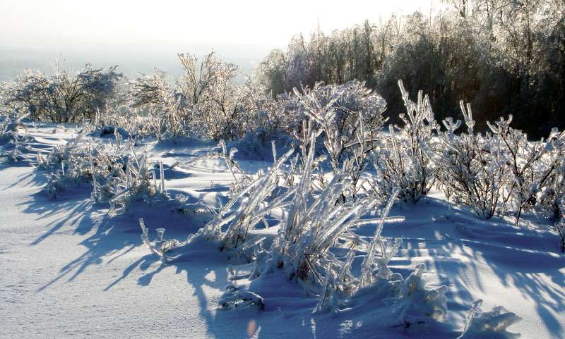 PICT3091.jpg