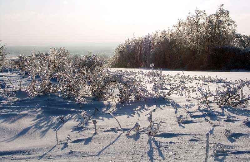 PICT3092.jpg