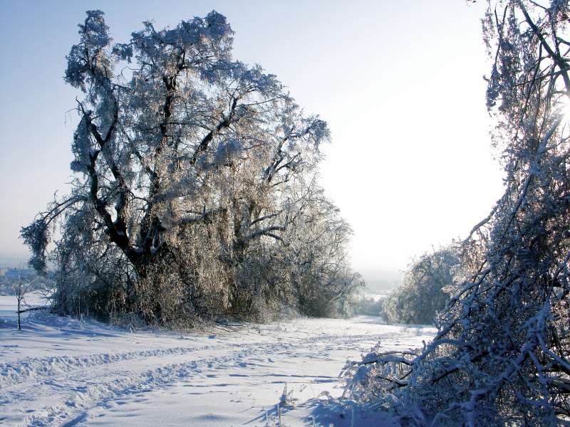 PICT3094.jpg