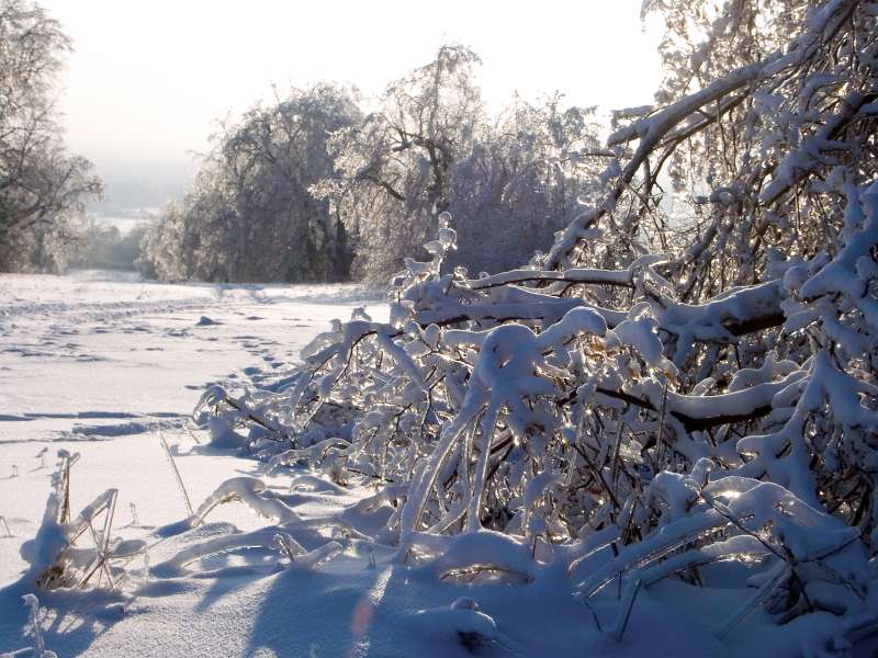 PICT3097.jpg