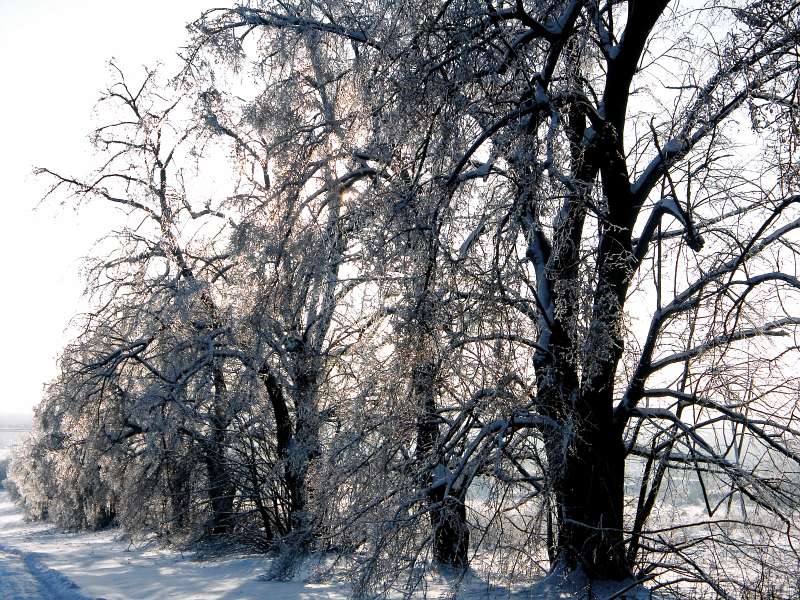 PICT3109.jpg